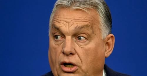 Культурологічний фестиваль «Бароко-fest 2019. Духовна та мистецька спадщина І. Мазепи» — фото 44