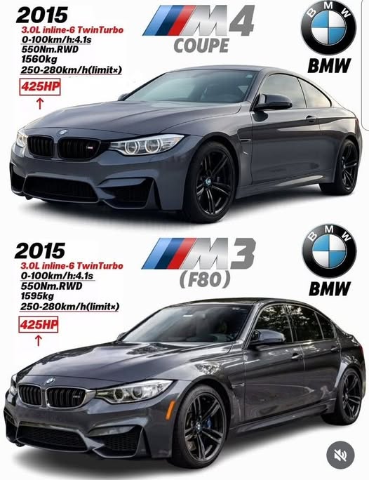 Культурологічний фестиваль «Бароко-fest 2019. Духовна та мистецька спадщина І. Мазепи» — фото 52