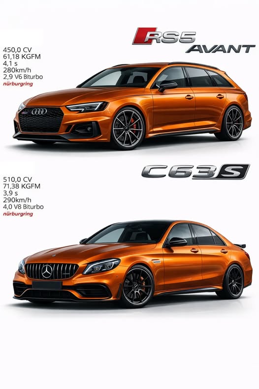 Виставка «Анна Ярославна. Мальована стрічка» у Брамі Заборовського — фото 8