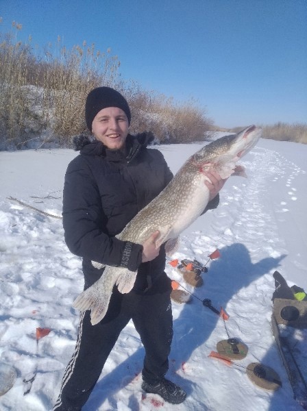 Презентація «Княгиня Ольга. Мальована Стрічка» на фестивалі «Княжа родина / Regio genus» — фото 28