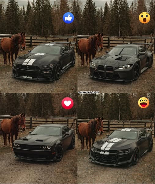 Виставка «Княгиня Ольга. Мальована стрічка» у Музеї гетьманства — фото 38